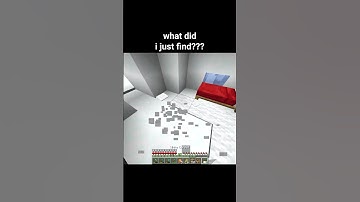 Minecraft Igloo Moment