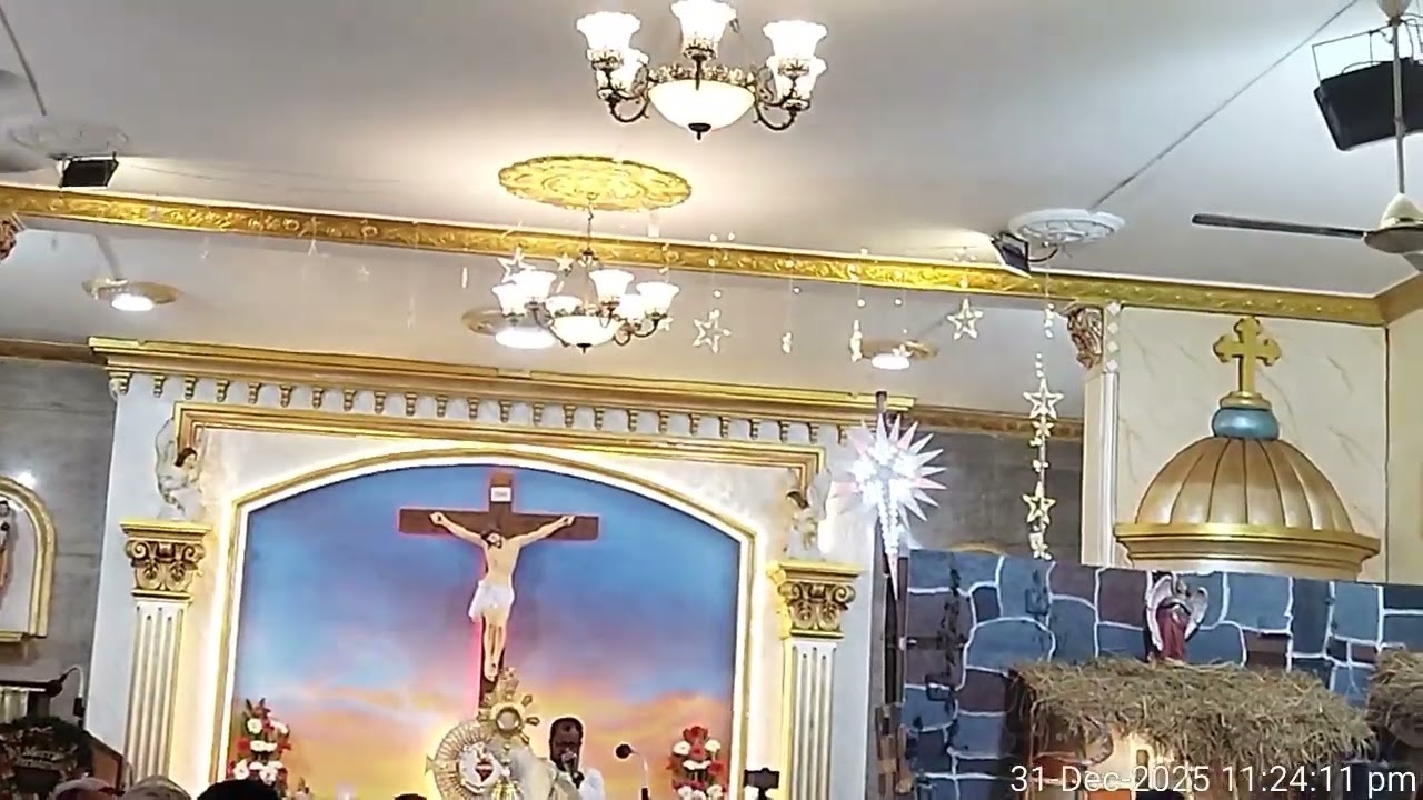 திருமயம் புனித அடைக்கல மாதா ஆலயத்தில் இரவு நேரத்தில் நடைபெற்ற நர்க்கருணை ஆராதனை விழா