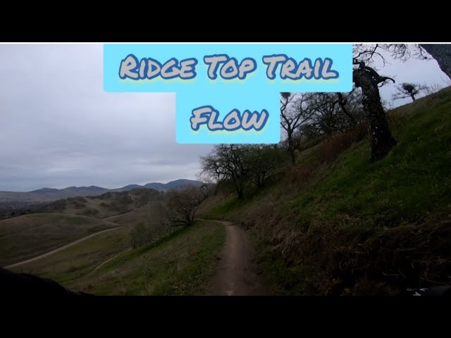 Ridge Top Trail- Shell Ridge