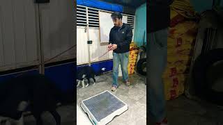 Treinamento intensivo com a Lua: introdução à caixa de transporte