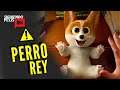 EL PERRO REY | CORGI |RESUMEN EN 10 MINUTOS