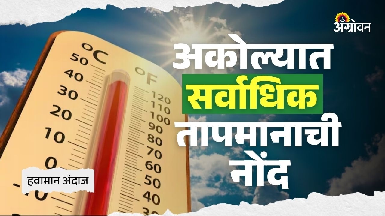 Weather Update: विदर्भातील सर्वच भागात कमाल तापमानात लक्षणीय वाढ | Agrowon