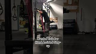 Banded Yolk Bar Hand Assisted Step-Up