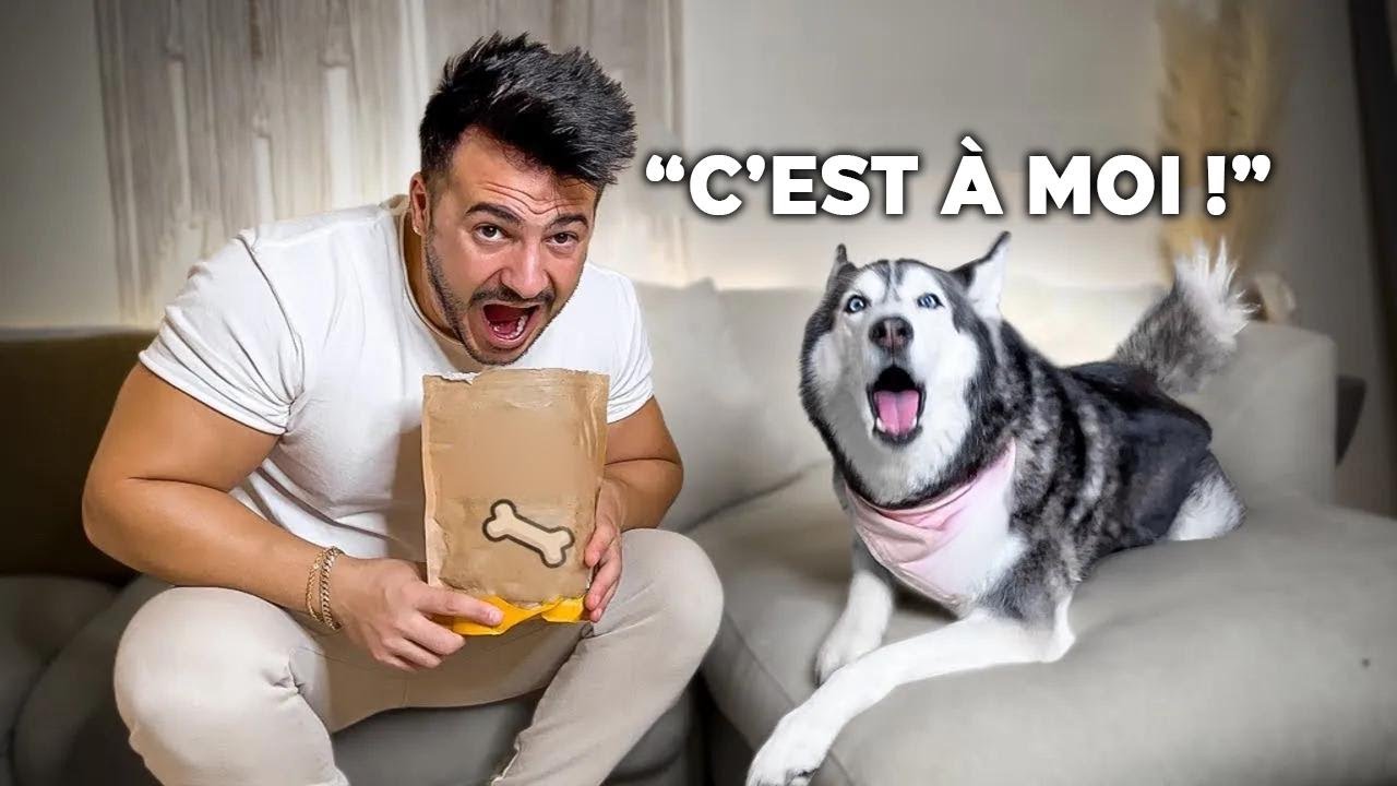 Je goûte les friandises de mon husky pour voir sa réaction ! Elle n'est pas contente