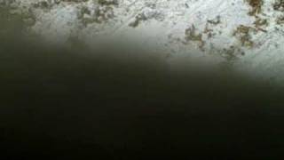 VID00157