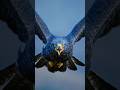 The eagle #eagle #shorts #generator #animals
