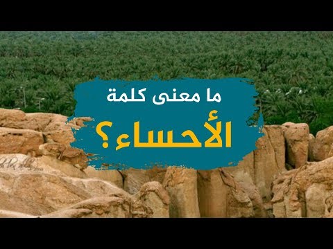 ما معنى كلمة الأحساء