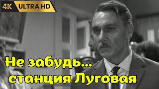 НЕ ЗАБУДЬ...  СТАНЦИЯ ЛУГОВАЯ    ( 1966 )    /   драма, мелодрама, Ultra HD 4K