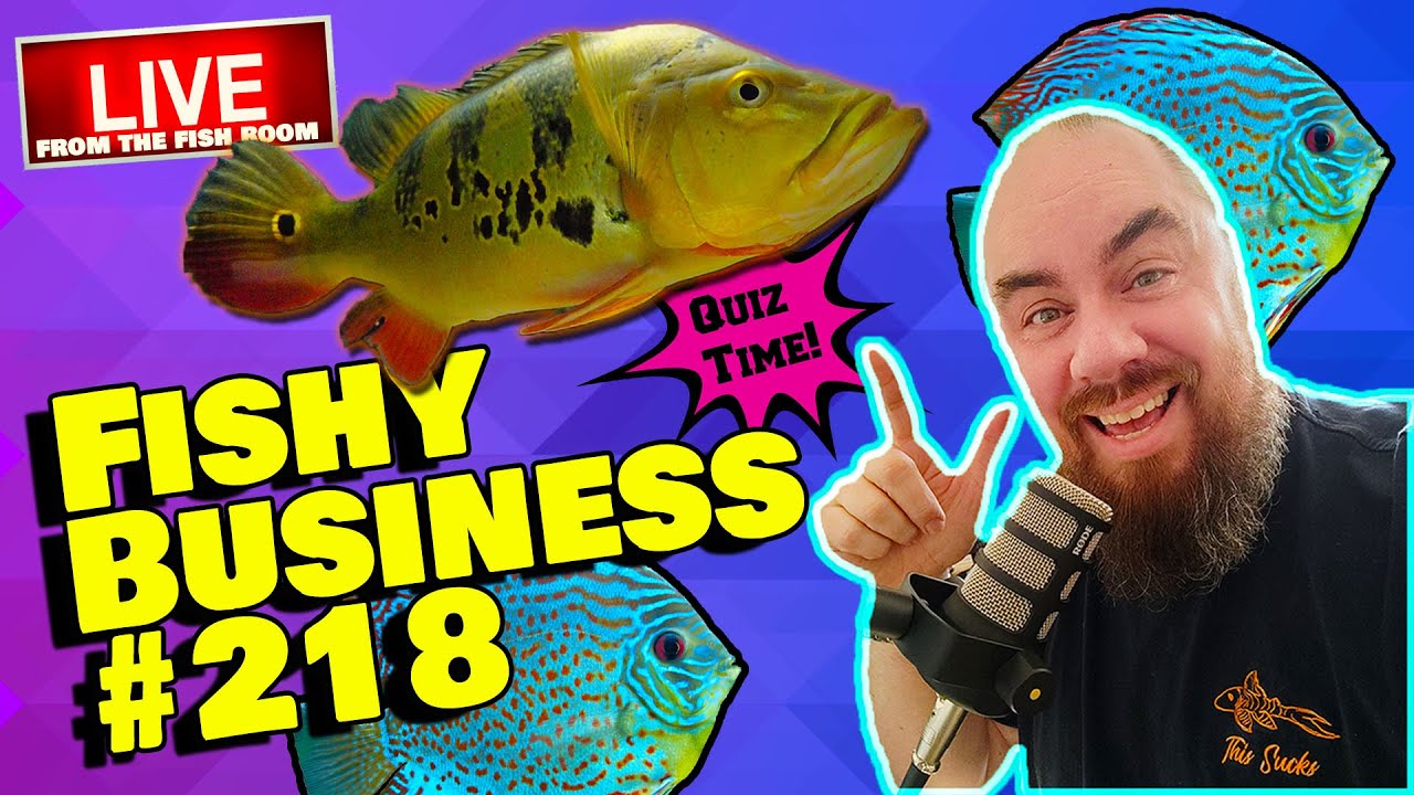 Friday Night Live! - Fishy Business #218