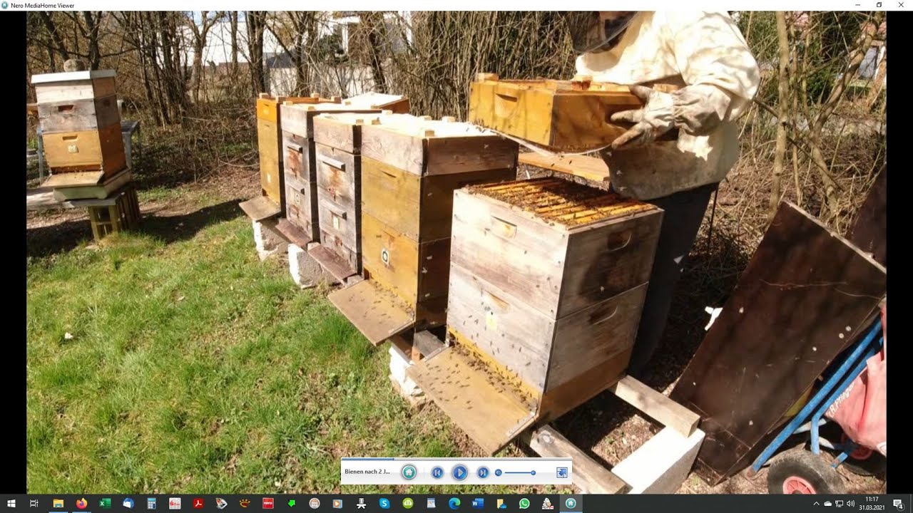 Klimadeckel # 6: Bewährungs Check nach 3 Jahren Anwendung