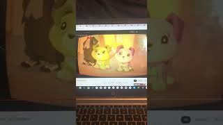 Rocky Gets Splashed By A Pool Again That Makes Everyone Laugh Really Hard Again