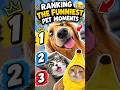 Ranking the FUNNIEST Pet Moments 😂🐶🐱 #Shorts