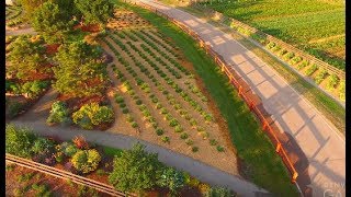 Lavender Garden at Chatfield Farms