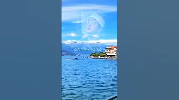 هذه بضاعتنا ردت الينا ونمير اهلنا ونحفظ اخانا ونزداد كيل بعير ذلك كيل علينا يسير 