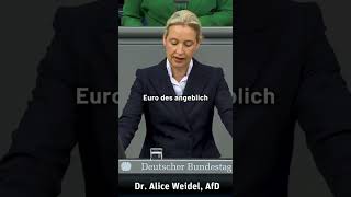 Alice Weidel über das „Sondervermögen“ #afd #deutschland #cdu