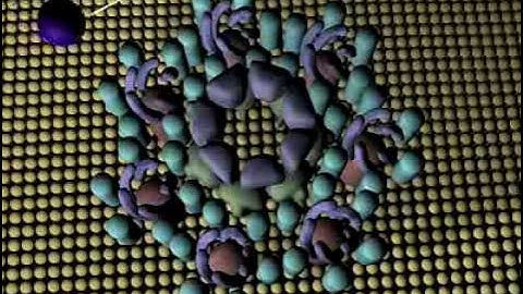 Anthrax  Toxin Delivery