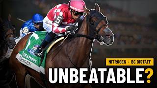 Nitrogen Looks Unbeatable in the Breeders Cup Distaff