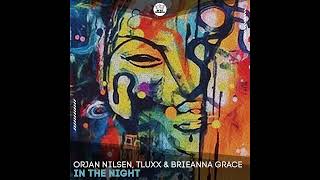 Orjan Nilsen, Tluxx & Brieanna Grace - In The Night (Extended Mix)