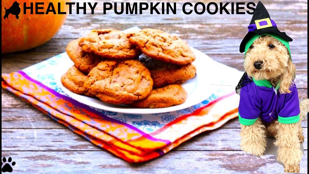 HALLOWEEN HEALTHY PUMPKIN DOG COOKIES TREATS REMIX DIY Dog Food by Cooking For Dogs YouTube