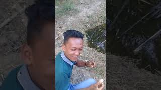 Lucu banget. Pasti pada ngakak..prank teman makan jeruk asam...