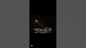 ياسر الدوسري سورة الزمر #القرآن #المصحف #القرآن_الكريم