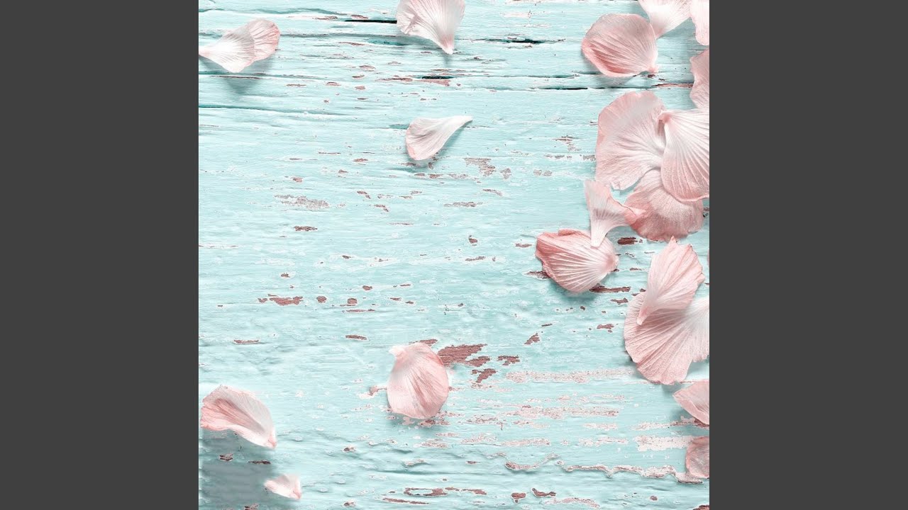 Guarda Scandal Attack su YouTube Guarda Scandal Attack su YouTube