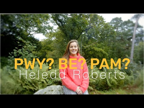 Pwy? Be? Pam? - Heledd Roberts