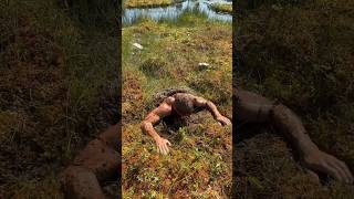 Celebrity I Fell Through A Floating Bog And Completely Vanished! #shorts Wealth