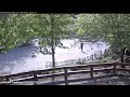Whistler Creekside 2026/05/17