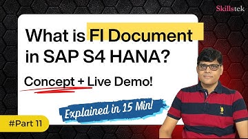 What is FI Document in SAP S4 HANA FICO? - Explained in 15 Minutes | Concept + Live Demo