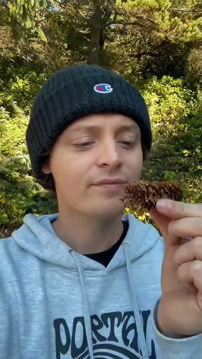 youtube.com
