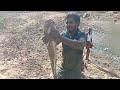 \\🐬வலையில் பிடித்த ஆப்பிரிக்கன் கெளுத்தி மீன் 🐬//amazing catfish//