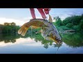 Using TINY CATFISH To Catch CREEK MONSTERS!!! (Biggest Of The Year)