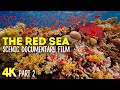 Amazing Underwater Life of the Red Sea - 4K Scenic Nature Documentary Film - Episode 2