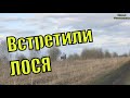 Встретили ЛОСЯ.  Кем заселить планету? Стукнуло десять./ Семья Фетистовых