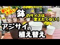 ◆『サイズはそのまま❗️』【冬が最適】アジサイの植え替え