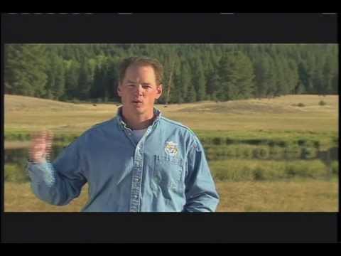 State of the Planet's Wildlife: The Last Stand of the Grizzly Bear solar pool heater