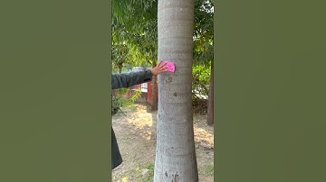 Latest Home Decor Design 2024 | Bone Inlay Furniture | Home Decor