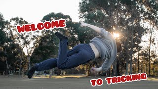 The Memories of Tricking (2020 Sampler)