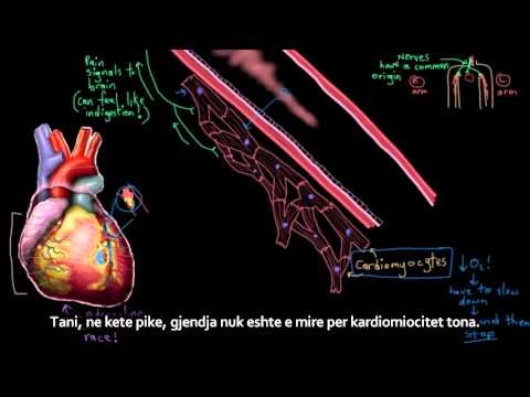 Video: Sulmi Në Zemër Në Qen