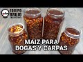 Cómo preparar maíz para pescar bogas y carpas