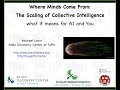 Where minds come from the scaling of collective intelligence and what it means for ai and you