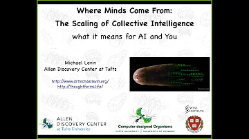 Where Minds Come From: the scaling of collective intelligence, and what it means for AI and you