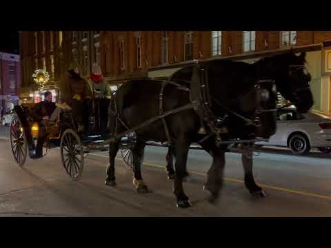 Horse Drawn Carriage Rides Port Hope November 26, 2021