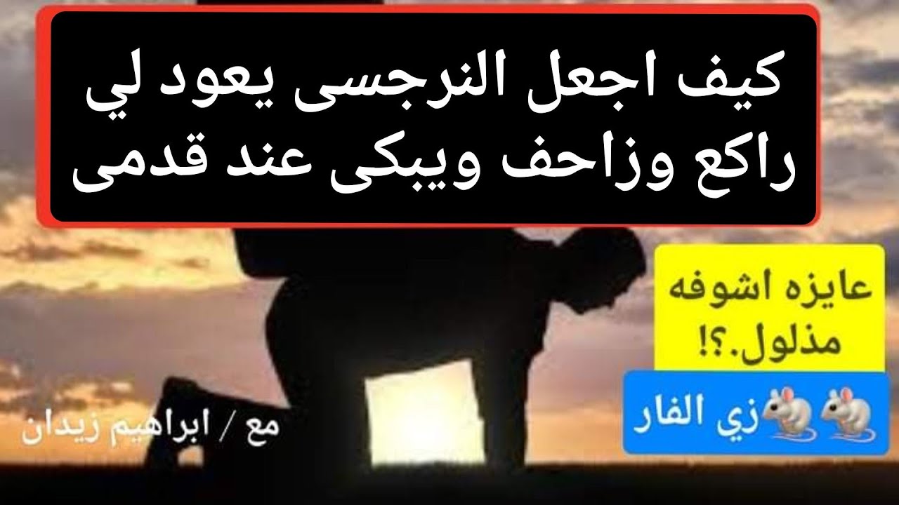 كيف اجعل النرجسى يرجع لي  راكع وزاحف ويبكى عليا