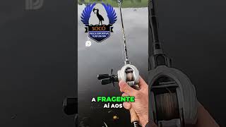 Sistema DC nas carretilhas #pescaria #carretilha #shimano #carretilhas #fishing #fish #caiaque