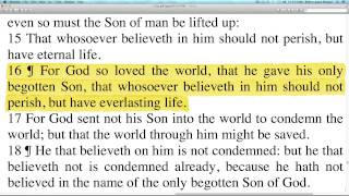 GOD LOVES YOU! - JOHN 3:16-18 - KJV Bible Christian Video - Prayervision.com