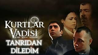 Kurtlar Vadi̇si̇ - Tanridan Di̇ledi̇m