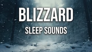 Winter Blizzard Ambience | Snow Fall & Wind | Sounds for Sleep & Relaxation