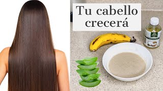 Tu cabello va a crecer como banano y sabila TRATAMIENTO CASERO PARA EL CABELLO SECO -